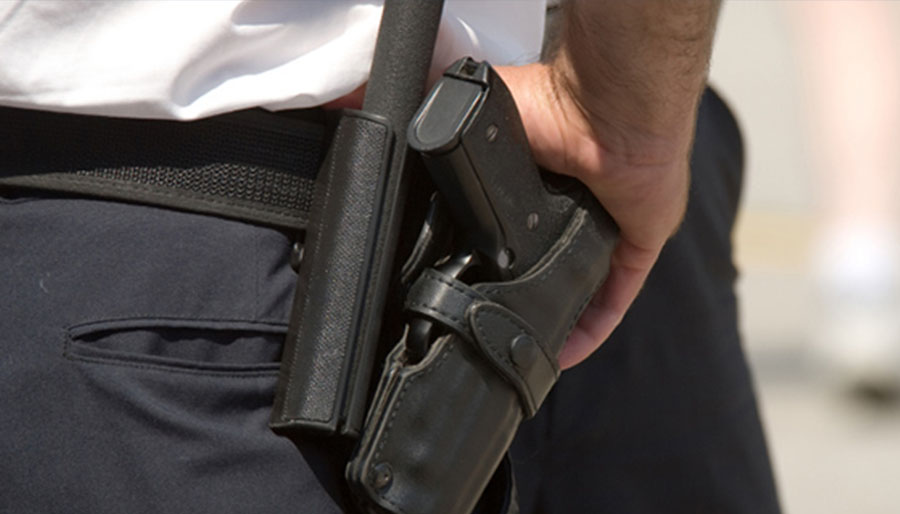 You Have Roots Here Now, Grow With Us.