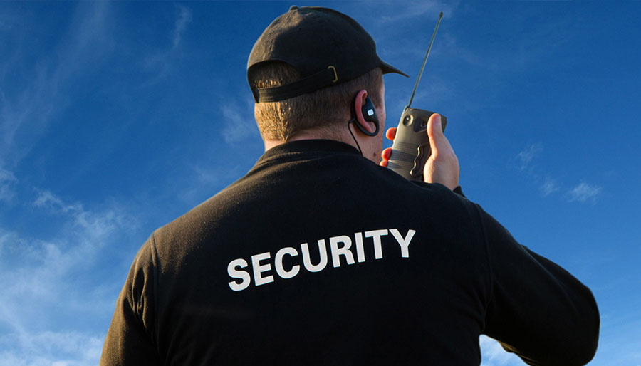 You Have Roots Here Now, Grow With Us.